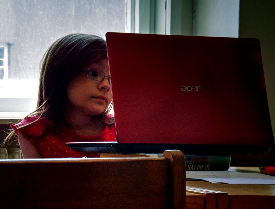 Little Girl with Laptop 2 photo