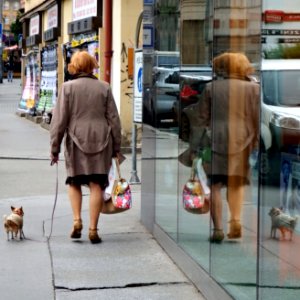 Woman with a Dog - goD a htiw NamoW photo