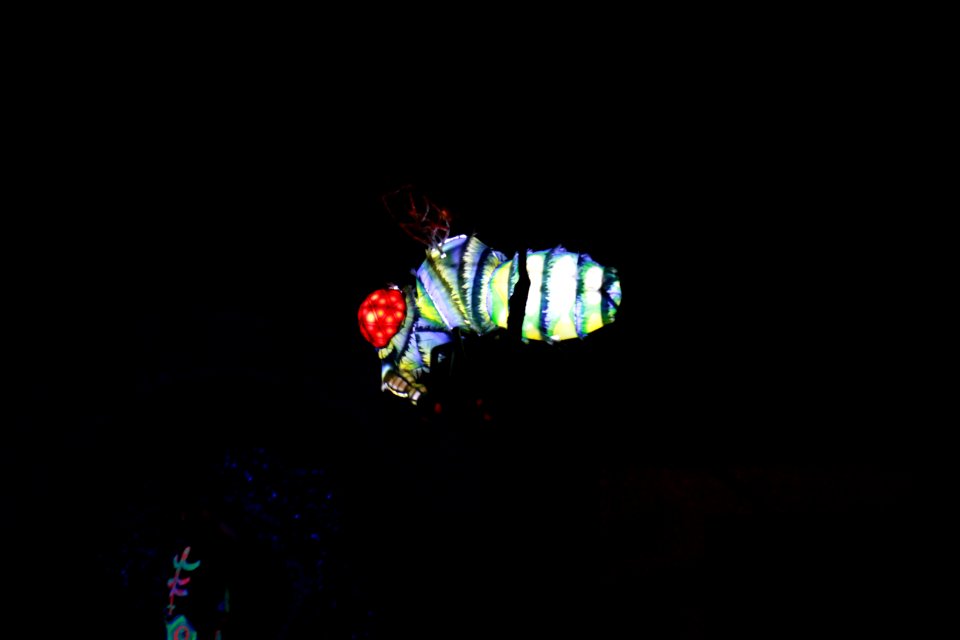 IMG 1586