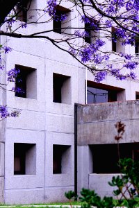 MARGO • Arquitectura