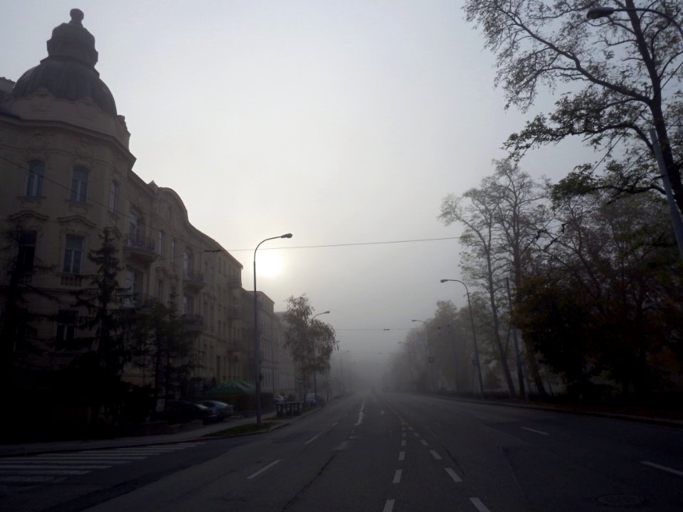 Misty Morning Street