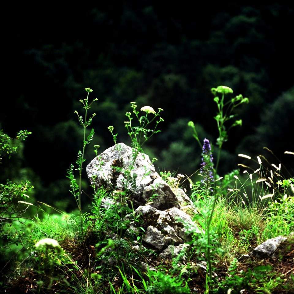 Pentacon Six + MC Biometar 2,8/120 - The Edge of Precipice