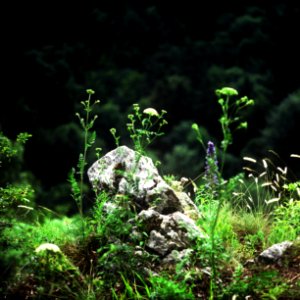 Pentacon Six + MC Biometar 2,8/120 - The Edge of Precipice