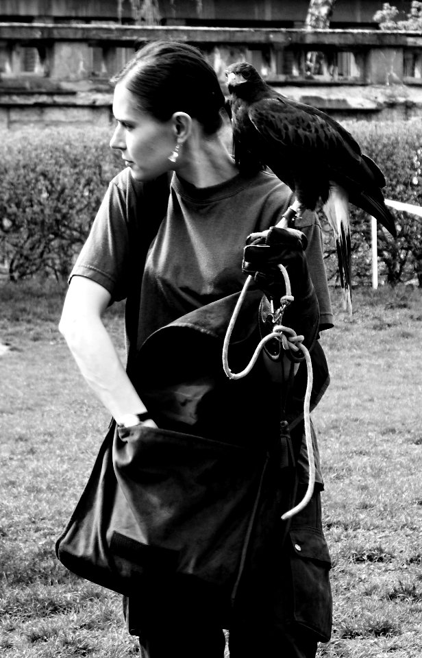 Girl with Harris's Hawk 4 - B&W