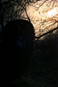 Kiev 4 + Helios 103 - Cast-off Carriage (Inhabited by some homless people and a dog) 2