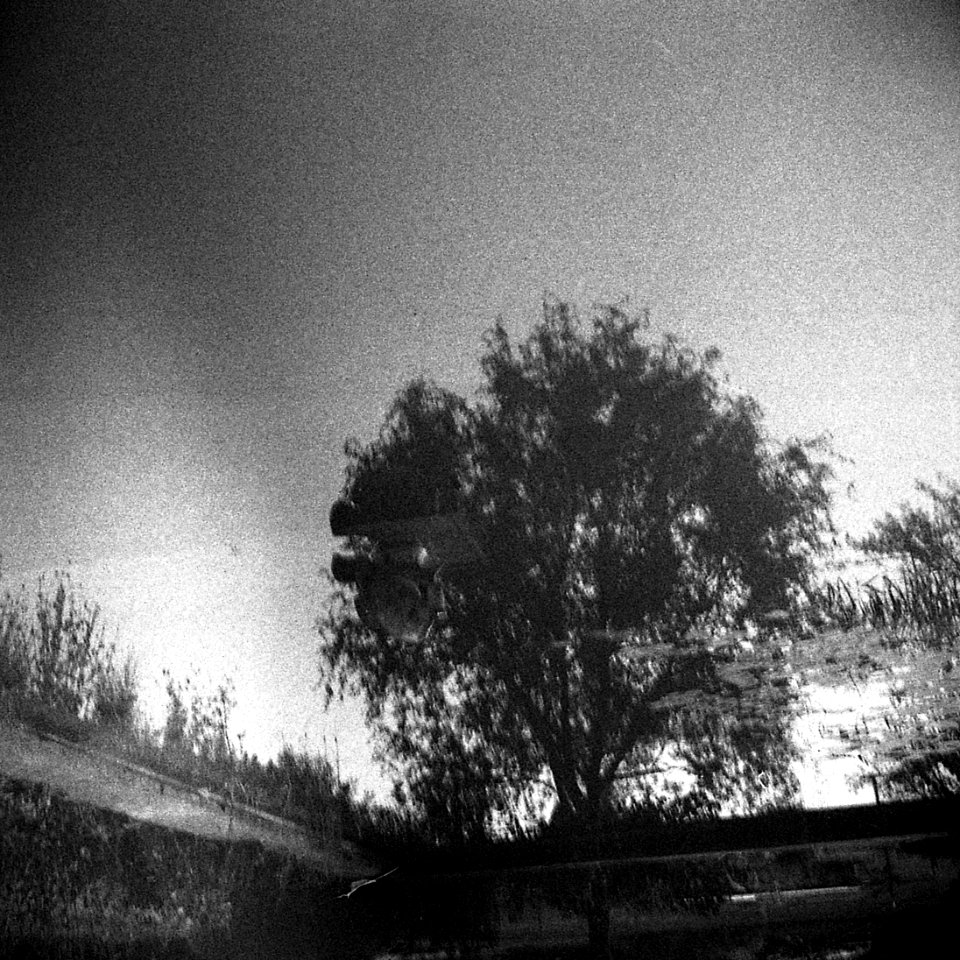 Altix I - Reflection of the Tree