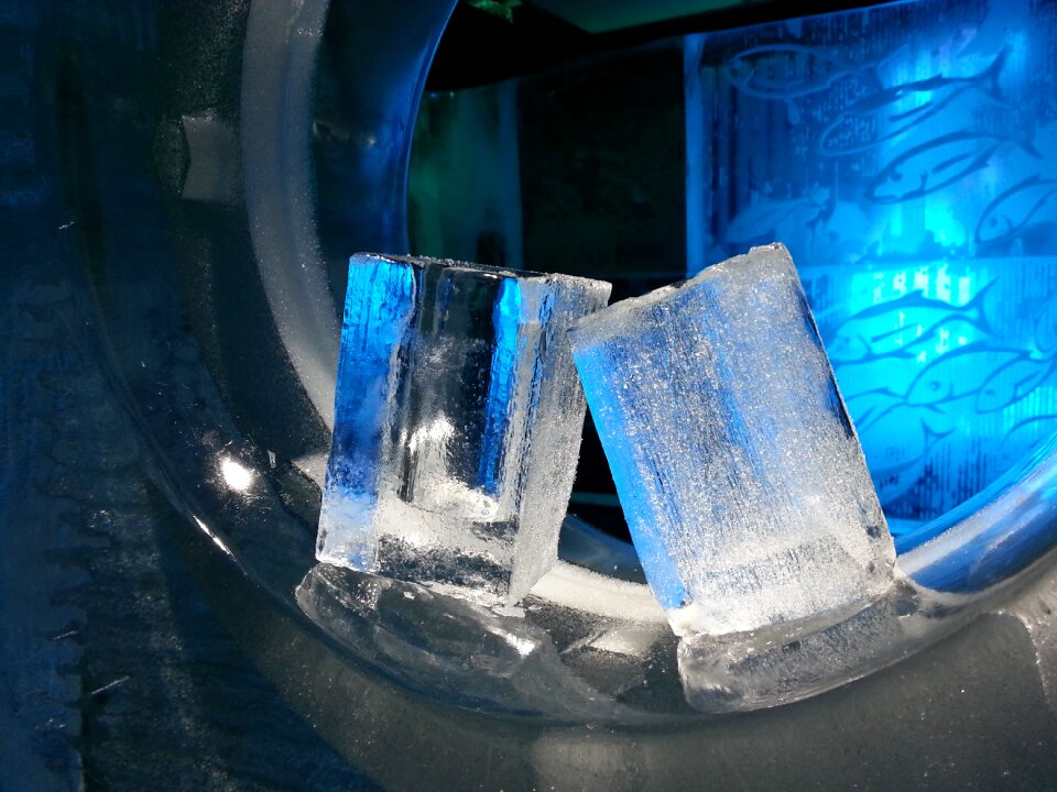 Cold blue frozen