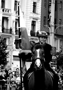 International Championship of Police Horse Riding - Opening Ceremony 11