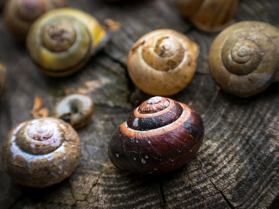 Spiral abandoned pulled out