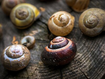 Spiral abandoned pulled out