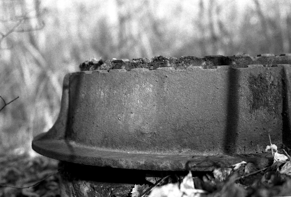 Ricoh TLS 401 + Industar-61 L/Z - Manhole Cover in the Wood