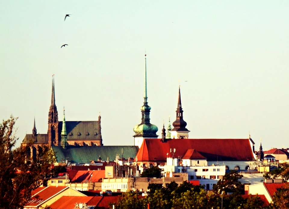 Brno in the Morning from My Window 3