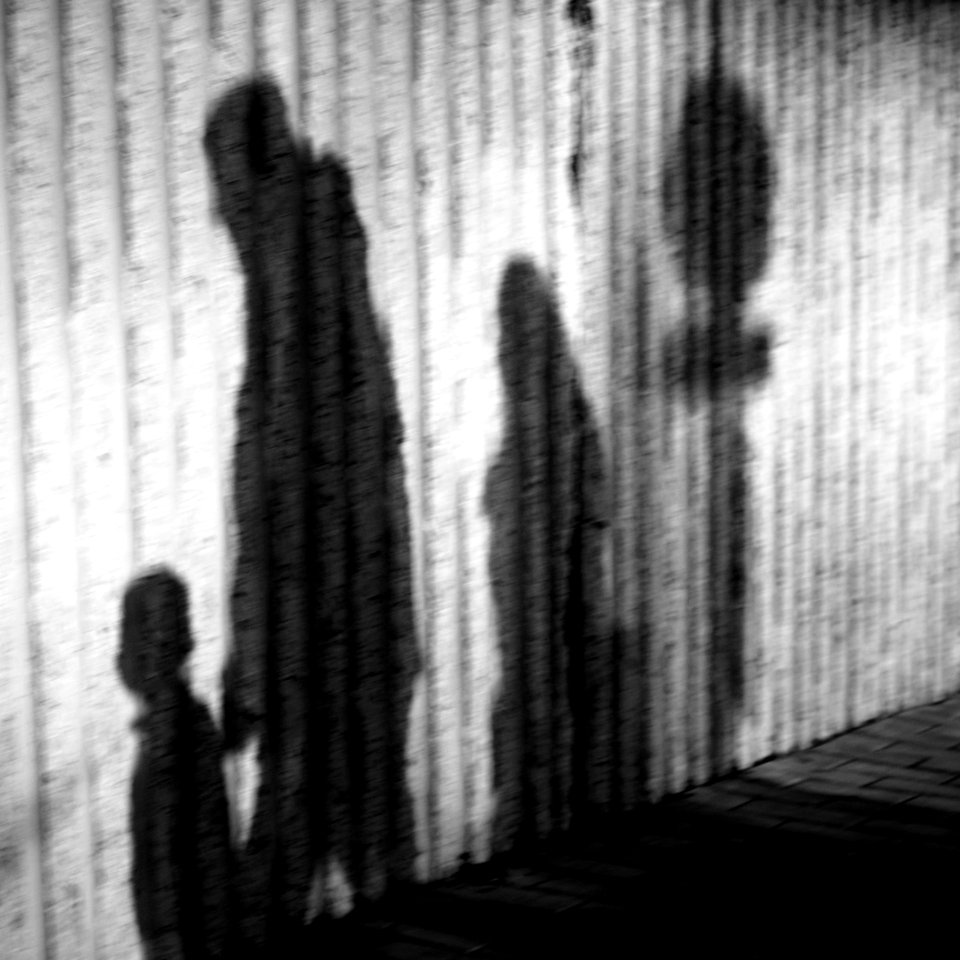 Sony Alpha A230 with MIR-1V - Shadows 03