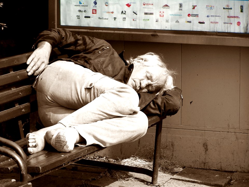 Sleeper on the Bench 2