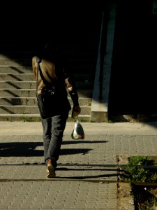Into the Shadow