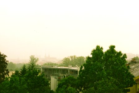 Exa + Tessar 2,8/50 - Rainy Day from my Window