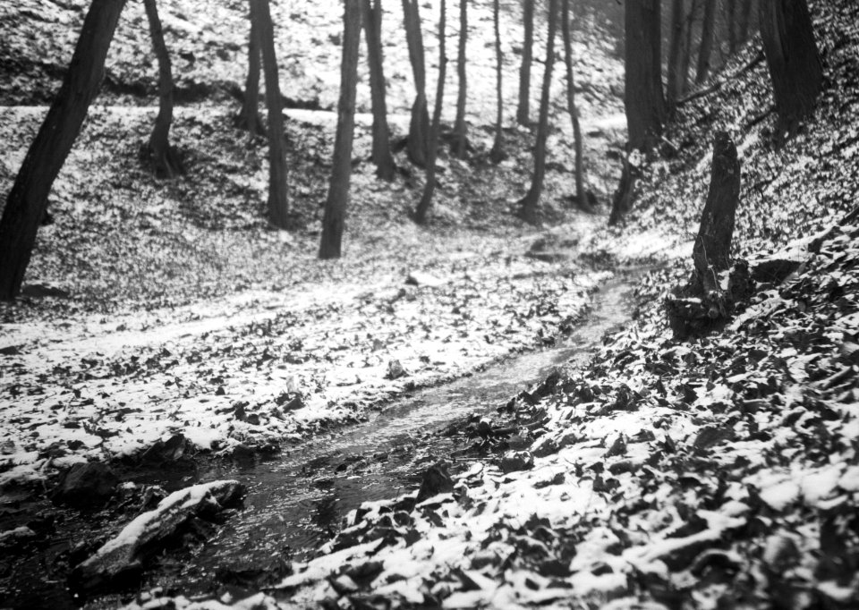Agfa Billy Record 7.7 - St. Anthony's Chapel and Sourroundings (Brno-Lesná) 3