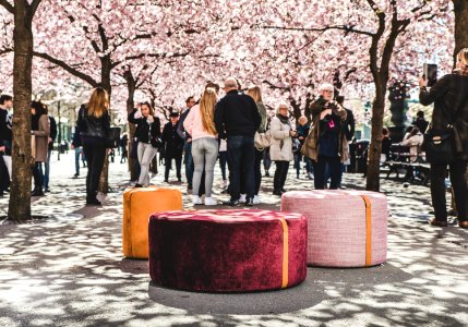 sweef kungsan-4054