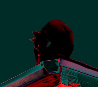 On A Hot Tin Roof