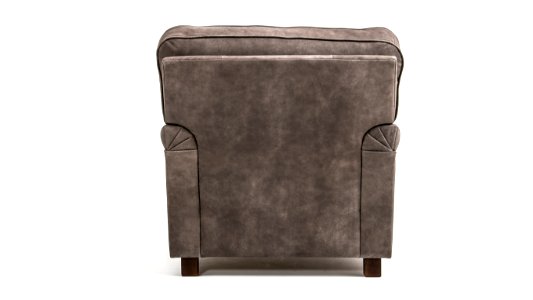 lejonet fatolj skin-0298