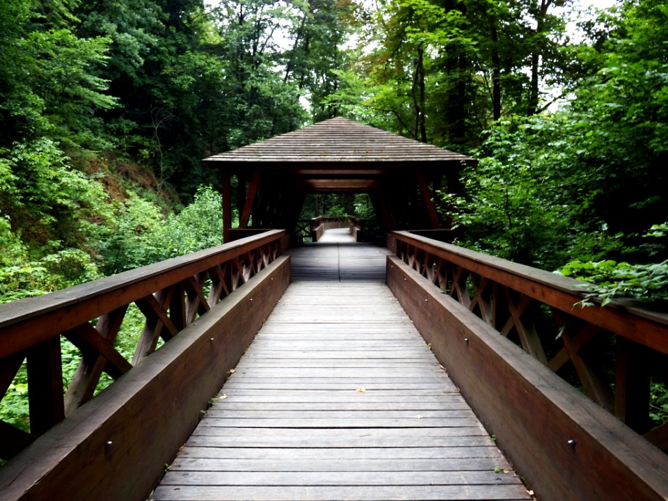 Footbridge 2