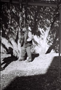 Kiev 4 - Old Man, Light and Shadows