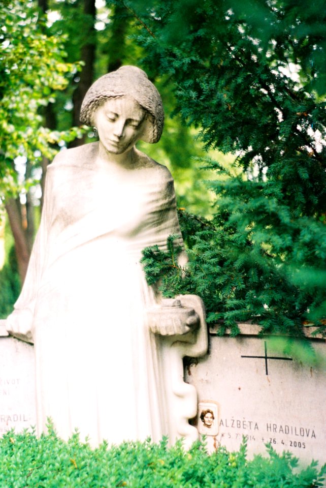 FED-5V - Gravestone on Central Cemetery 6