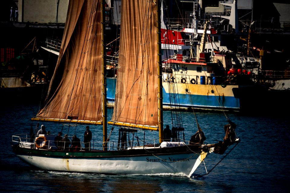 Seaside shanties