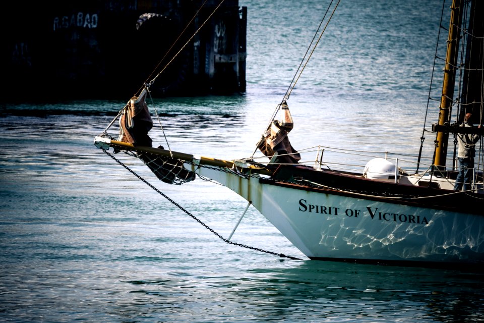 Seaside shanties