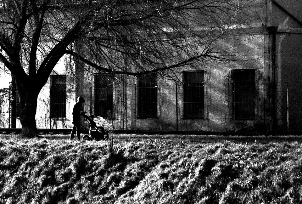 Praktica BMS + MC Pentacon Prakticar 2,8/135 - Mother with Carriage 1