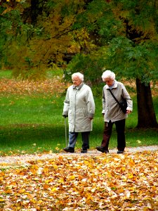 Old ladies Taking a Walk in a Park