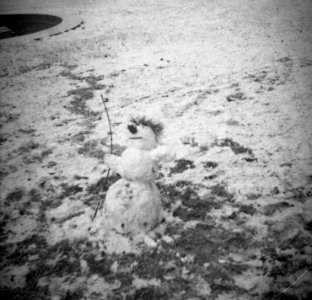 Altix I - Snowman 2