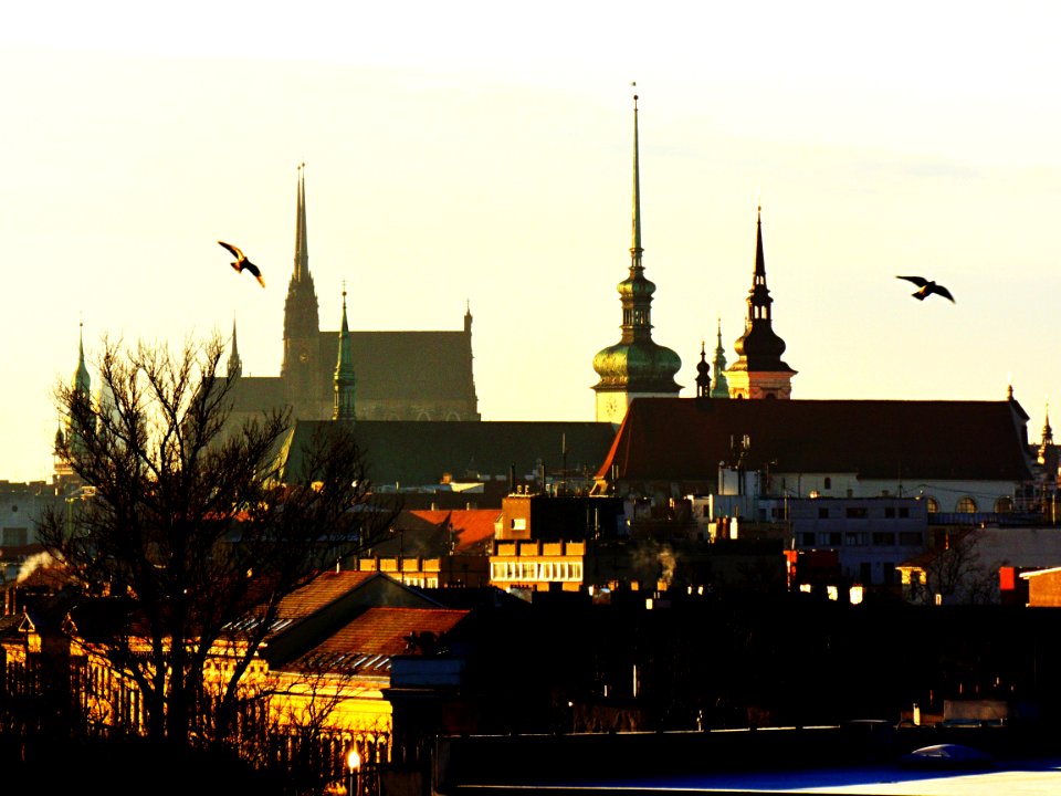 Quite Nice Morning from my Window