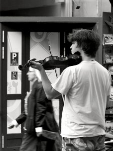 Street Violinist photo