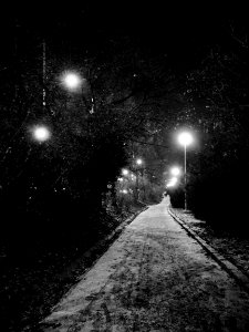 Path in the Park B&W photo