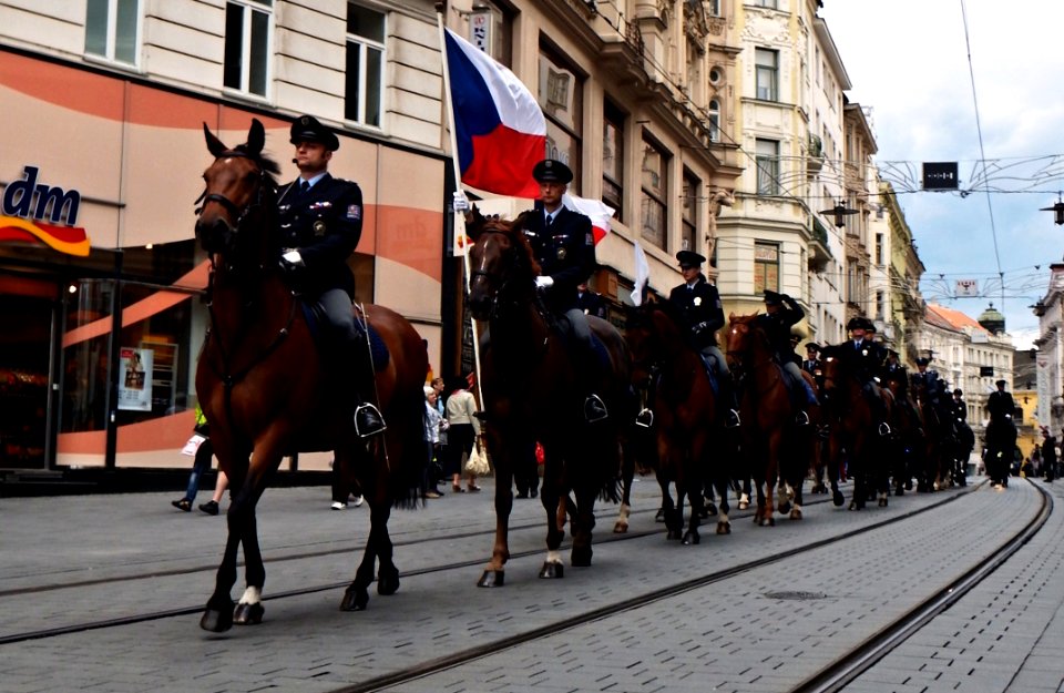 International Championship of Police Horse Riding - Opening Ceremony 05
