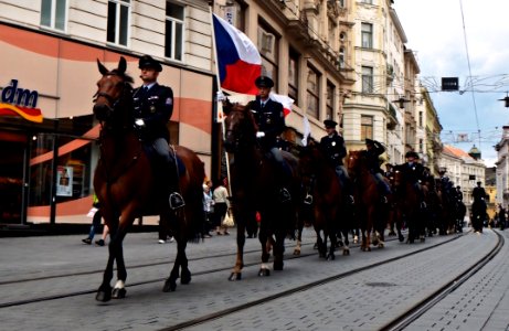 International Championship of Police Horse Riding - Opening Ceremony 05