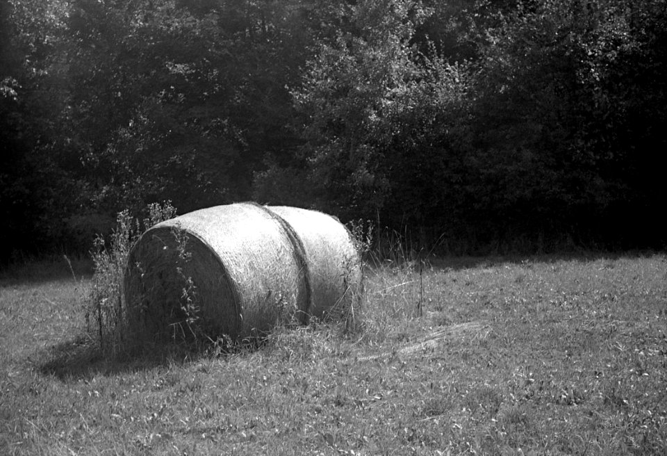 Agfa Optima 1a - Straw Rolls