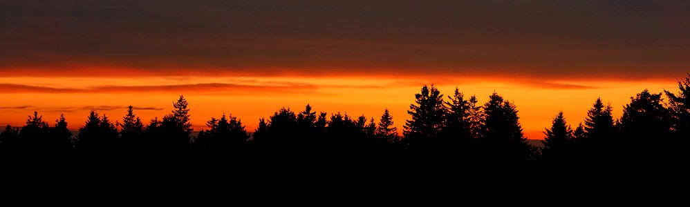 Sonnenuntergangsnadelwaldstreifen