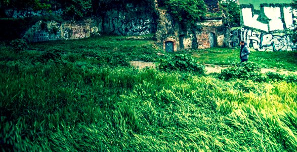 Man, Grass, Wind and Ruins photo