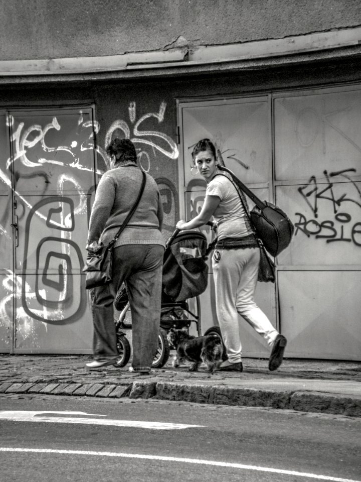 Women with Baby Carriage and a Dog