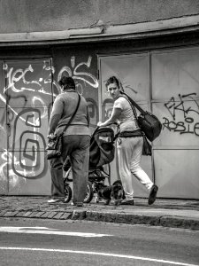 Women with Baby Carriage and a Dog
