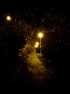 Path in the Lužánky Park at Night