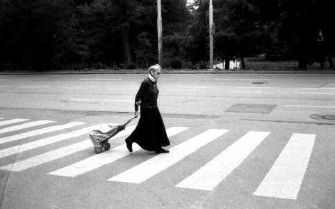 Vilia - Woman on Crosswalk photo