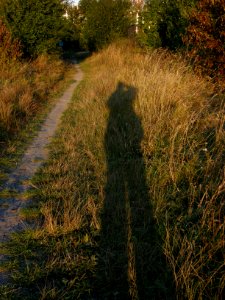 Photographer Going Eastwards at Sunset