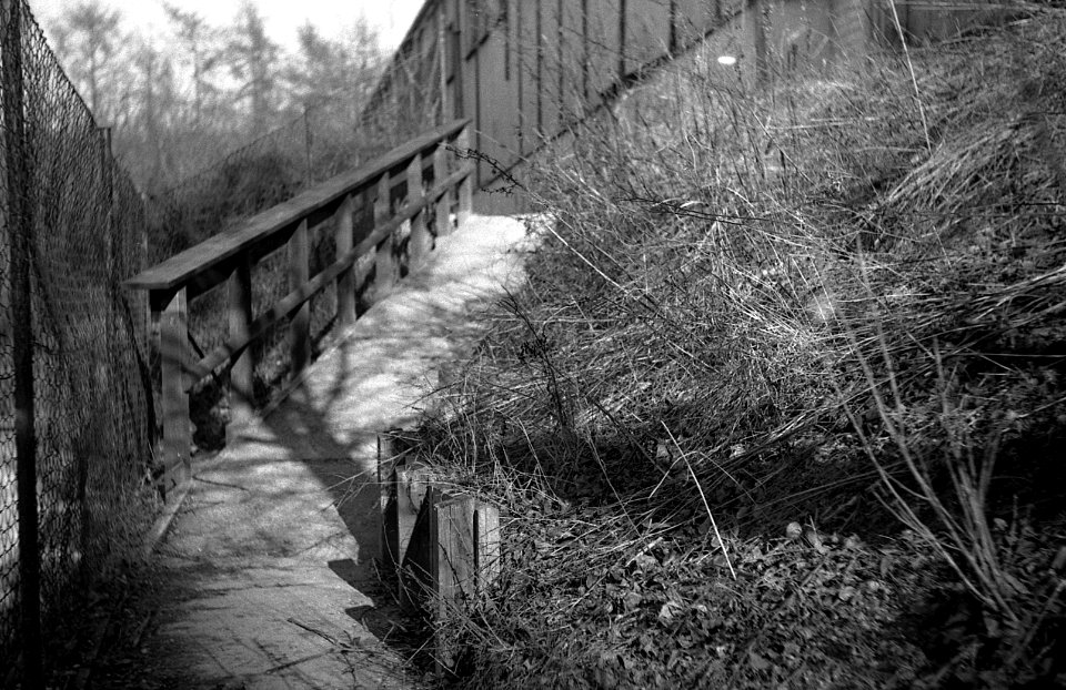 Contax D + Edixa-Iscotar - Path