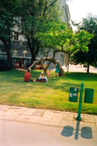 Young People Enjoying the Tree (redscale film)