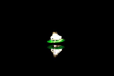 IMG 1760