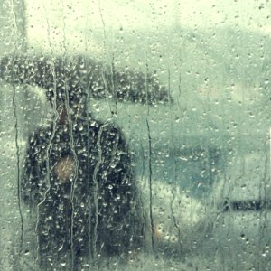 Woman with Umbrella Seen Through the Bus