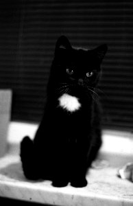 Canon Rebel XS - Zina
